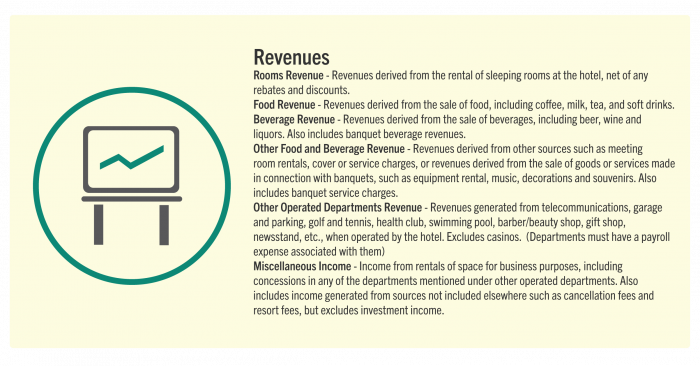 P&L statement revenue sources breakdown