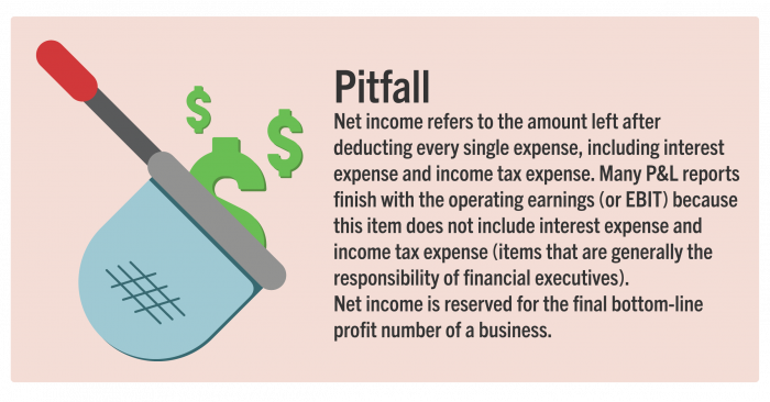 Managing your net income effectively in your P&L statement