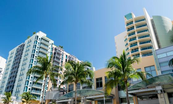 Hotels in a tropical location with palm trees